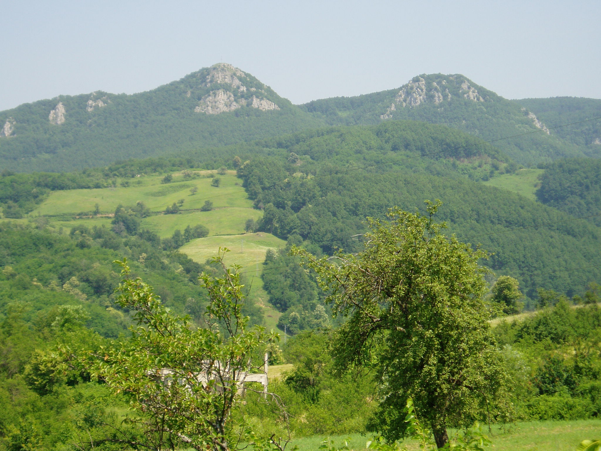 NP Sutjeska